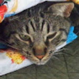 Meet your Posher, Janet